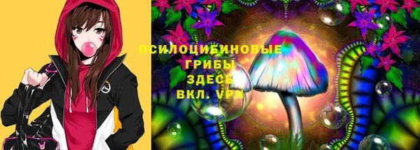 гидропоника Балахна